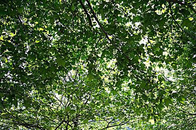 《Nintendo Switch 运动》网测开放限量预约 2月19日开启试玩